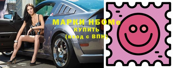 мдпв Верхний Тагил